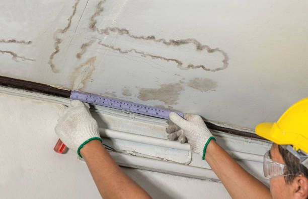 Reliable Water Damage contractor in Hartsburg, MO by Water Damage Irwin